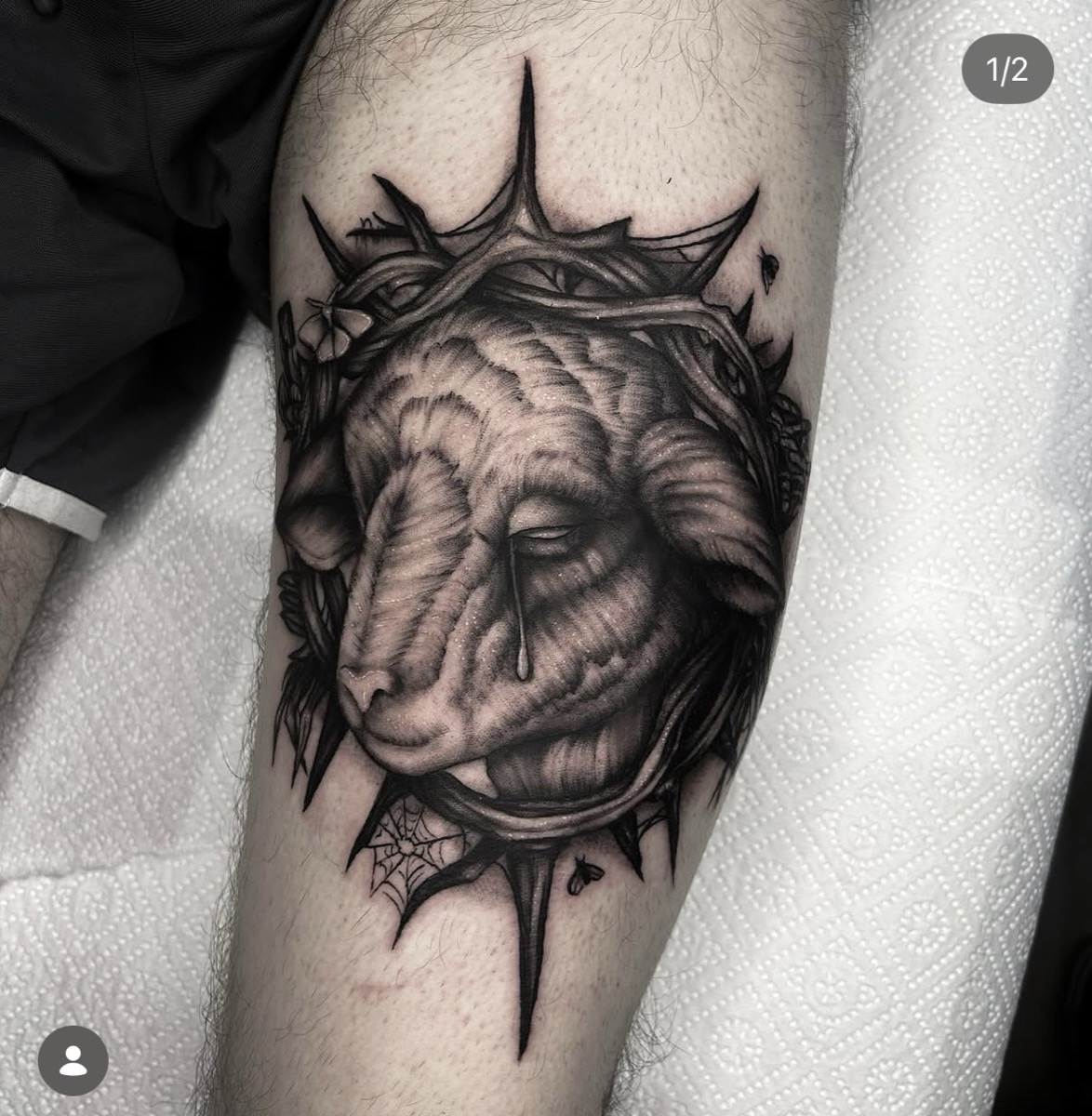 Tatuaż — Dotwork, @amnezja.tattoo